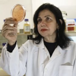 Brasileira ganha ‘Nobel de Agricultura’ por pesquisa que economizou R$ 127,5 bilhões em insumos