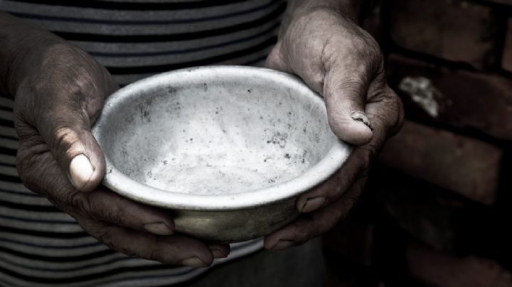 Fome global atinge 295 milhões em 2024; Brasil avança na erradicação da insegurança alimentar