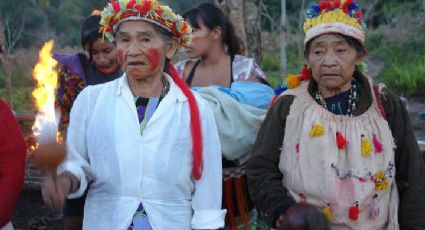 Estudo denuncia produção de soja e cana em terras dos Guarani-kaiowá