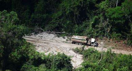 Defensores da Amazônia encaram o exílio ou a morte