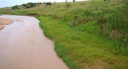 O debate que falta sobre o Código Florestal