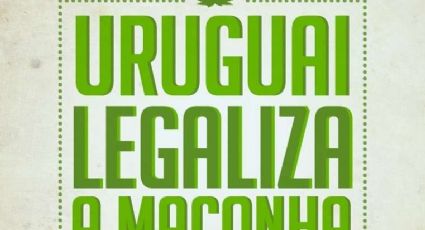 A planta está livre: Senado do Uruguai vota hoje regulamentação da maconha