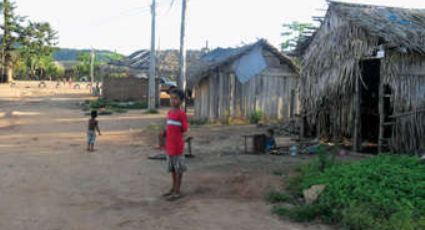 Pará, onde a terra é poder