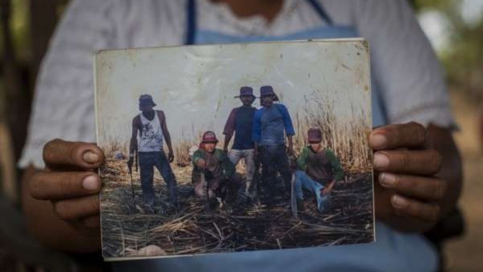 Mulher segura a foto de seu marido com colegas de trabalho em canavial perto de Chichigalpa, Nicarágua. Ele morreu de doença renal crônica. Quatro dos seus filhos também tem a doença (Foto: Anna Berry-Jester / Center For Public Integrity) 

