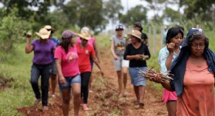 Indígenas Terena resistem à reintegração; PF apreende equipamento de jornalista