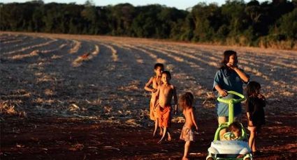 Após seis mortes, Guarani Kaiowá retomam fazenda de onde foram expulsos