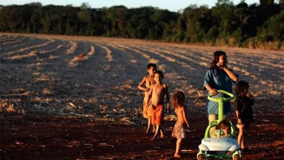 Neste domingo, 15, indígenas Guarani Kaiowá retomaram parte do seu território tradicional localizado na Fazenda Serrana (Foto: Ruy Sposati)