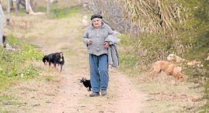 Mujica, teórico da transição pós-capitalista?