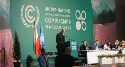 COP 20: Florestas e mudanças climáticas na América Latina