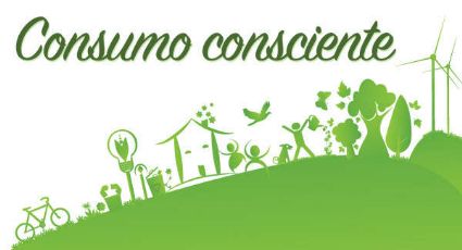 O passo-a-passo do consumidor consciente