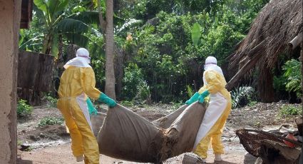 Surto de Ebola já registra 729 mortes em quatro países aficanos