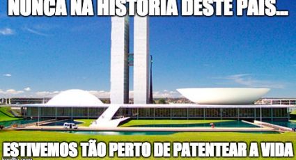 Projeto de Lei defende patente de seres vivos