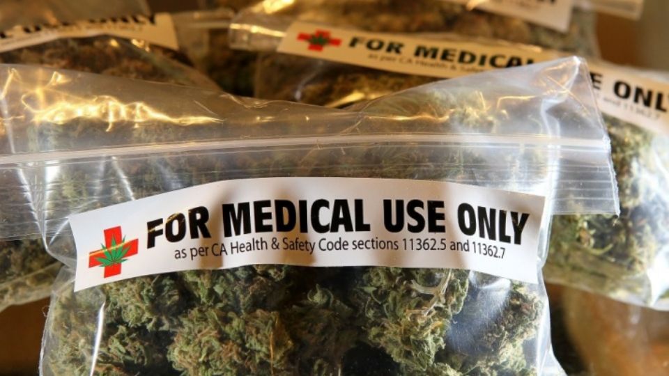 Maconha medicinal (Arquivo)