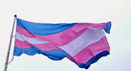 Dia Nacional da Visibilidade Trans: Conheça as conquistas