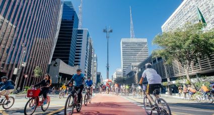 ‘Quem resiste à bicicleta não o faz por má-fé, mas por burrice mesmo’