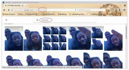 Aplicativo do Google caracteriza fotos de casal negro como "gorilas"