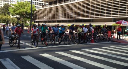 Sinal verde - Um universo em trânsito na Avenida Paulista