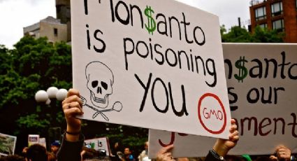 França: Monsanto é condenada por sequelas em agricultor contaminado por agrotóxico