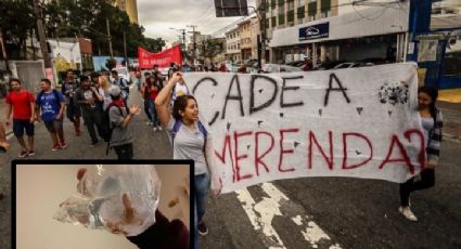 TCE de São Paulo encontra escorpiões e pombo junto de merenda escolar