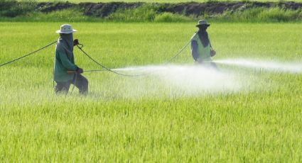 Transição agroecológica: Enfrentando uma catástrofe sanitária