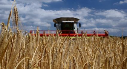 Ruralistas dizem que guerra na Ucrânia vai aumentar preço da comida no Brasil