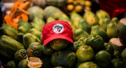 MST inaugura loja com produtos da agricultura familiar e orgânicos em São Paulo