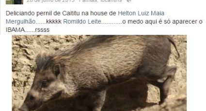 Nomeado para Ibama praticou crime ambiental e comemorou nas redes sociais