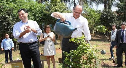 Alckmin anuncia venda de florestas e interrompe projeto de sustentabilidade