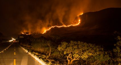 Incêndio na Chapada dos Veadeiros: Berço das águas do Brasil vive "ecocídio" e pede ajuda