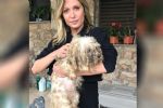 Luisa Mell é acusada de intolerância religiosa por afirmar que cadela atropelada teria sido amputada em ritual