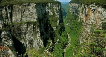 ICMBio abre parcerias privadas para “uma Bélgica” de parques na Amazônia, Sul e Sudeste