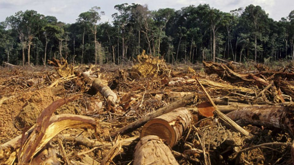 Foto: Instituto Socioambiental - ISA