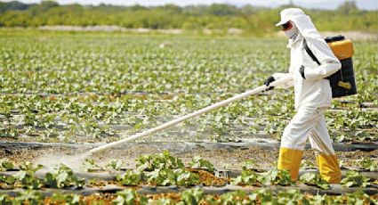 “Coquetel” com 27 agrotóxicos foi achado na água de 1 em cada 4 municípios