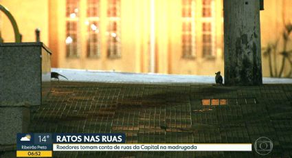 Gestão Doria: Ratos tomam conta de SP, mostra Bom Dia Brasil