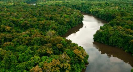 Após pressão, Temer revoga decreto que extingue reserva na Amazônia, mas vai publicar outro