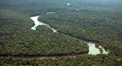 Rio de Janeiro terá ato público contra extinção da reserva na Amazônia