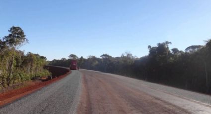 Temer trocou votos de ruralistas por apoio a estrada no Xingu, diz jornal