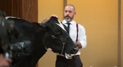 Vaca na cozinha do Masterchef Brasil causa revolta no Twitter