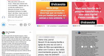 #ViraVoto: Perfil no Instagram reúne histórias de conversão de votos para Haddad