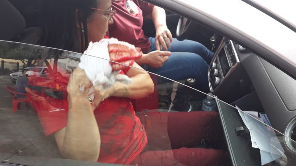 Vera Pedroso, presidente do sindicato, é ferida após ataque de apoiador de Bolsonaro