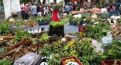 Após 20 anos de produção, juiz manda despejar famílias do acampamento Quilombo Campo Grande