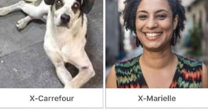 Apoiador de Bolsonaro compara Marielle Franco com cadela morta em SP