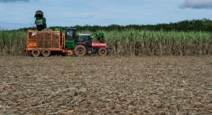 Bolsonaro libera plantação de cana na Amazônia e Pantanal para atender usineiros