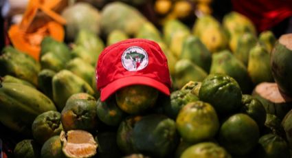 Vídeo-reportagem mostra diversidade da Feira da Reforma Agrária do MST