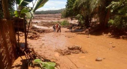 Conselho que deveria defender a região aprovou em dezembro operações da Mina do Feijão