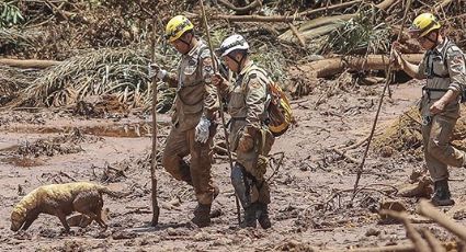 Tragédia de Brumadinho registra 110 mortos confirmados até o momento