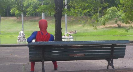 Homem Aranha: Super-Herói buscando recolocação no mercado