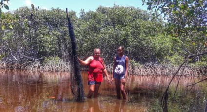 Tragédia do óleo no Nordeste: É grave, sim, dona Josefa...