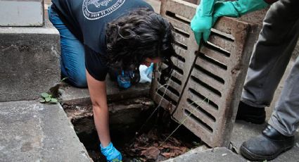 UFMG desenvolve pastilha para eliminar Aedes aegypti em bueiros