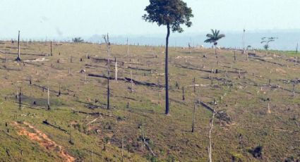 Movimentos sociais se reúnem neste final de semana para debater Fórum da Natureza